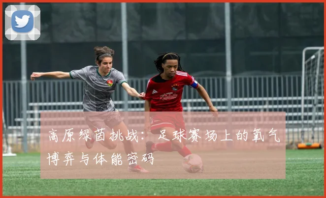 高原绿茵挑战：足球赛场上的氧气博弈与体能密码