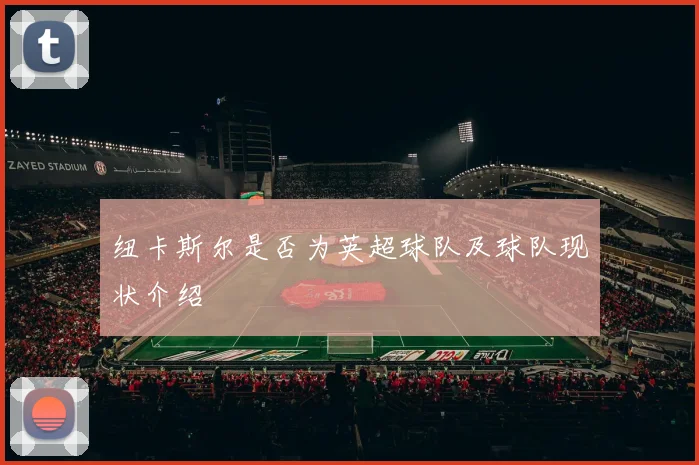 纽卡斯尔是否为英超球队及球队现状介绍