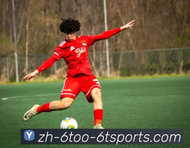 6T体育发展历程